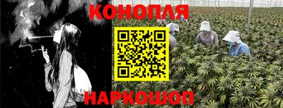 ПСИЛОЦИБИНОВЫЕ ГРИБЫ Камышлов