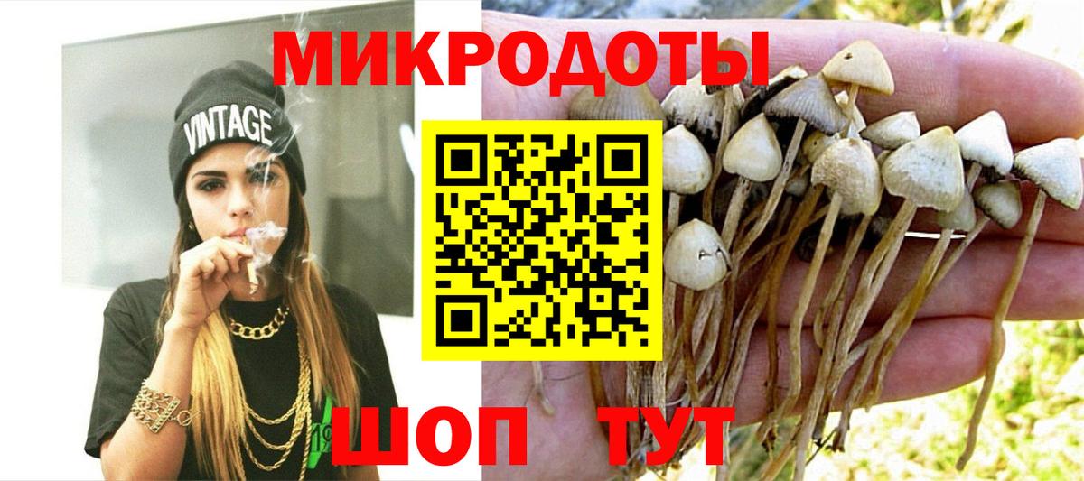 Псилоцибиновые грибы Psilocybine cubensis  Вход с VPN  Лабинск 