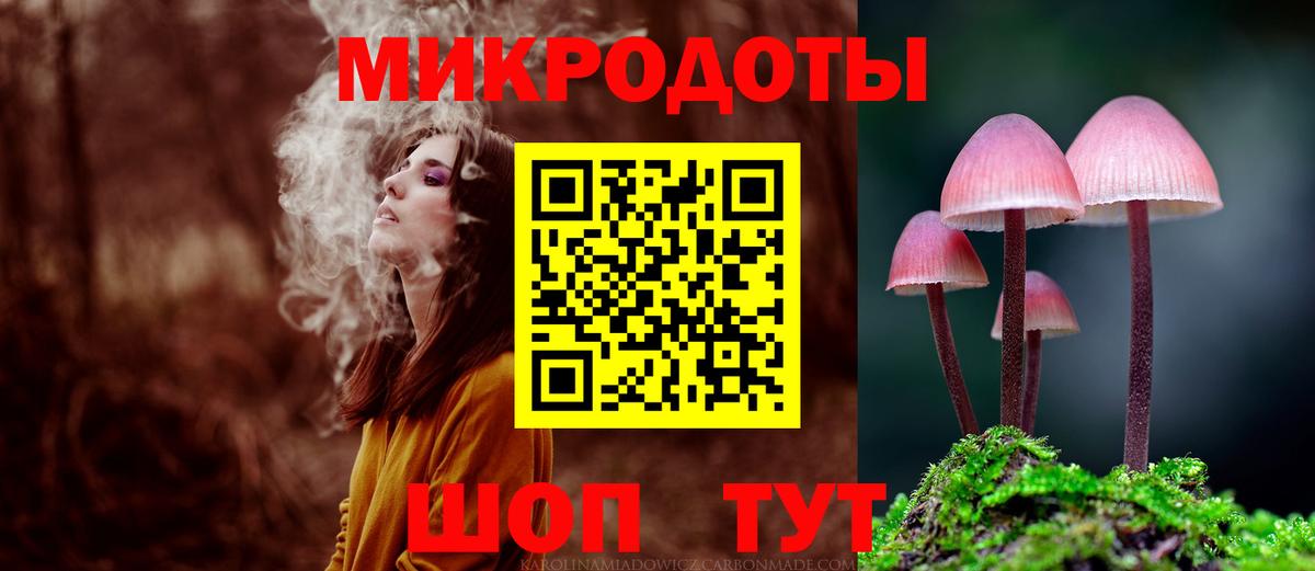 Псилоцибиновые грибы мицелий Лабинск